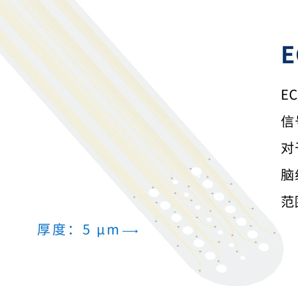 ECoG 柔性电极示意