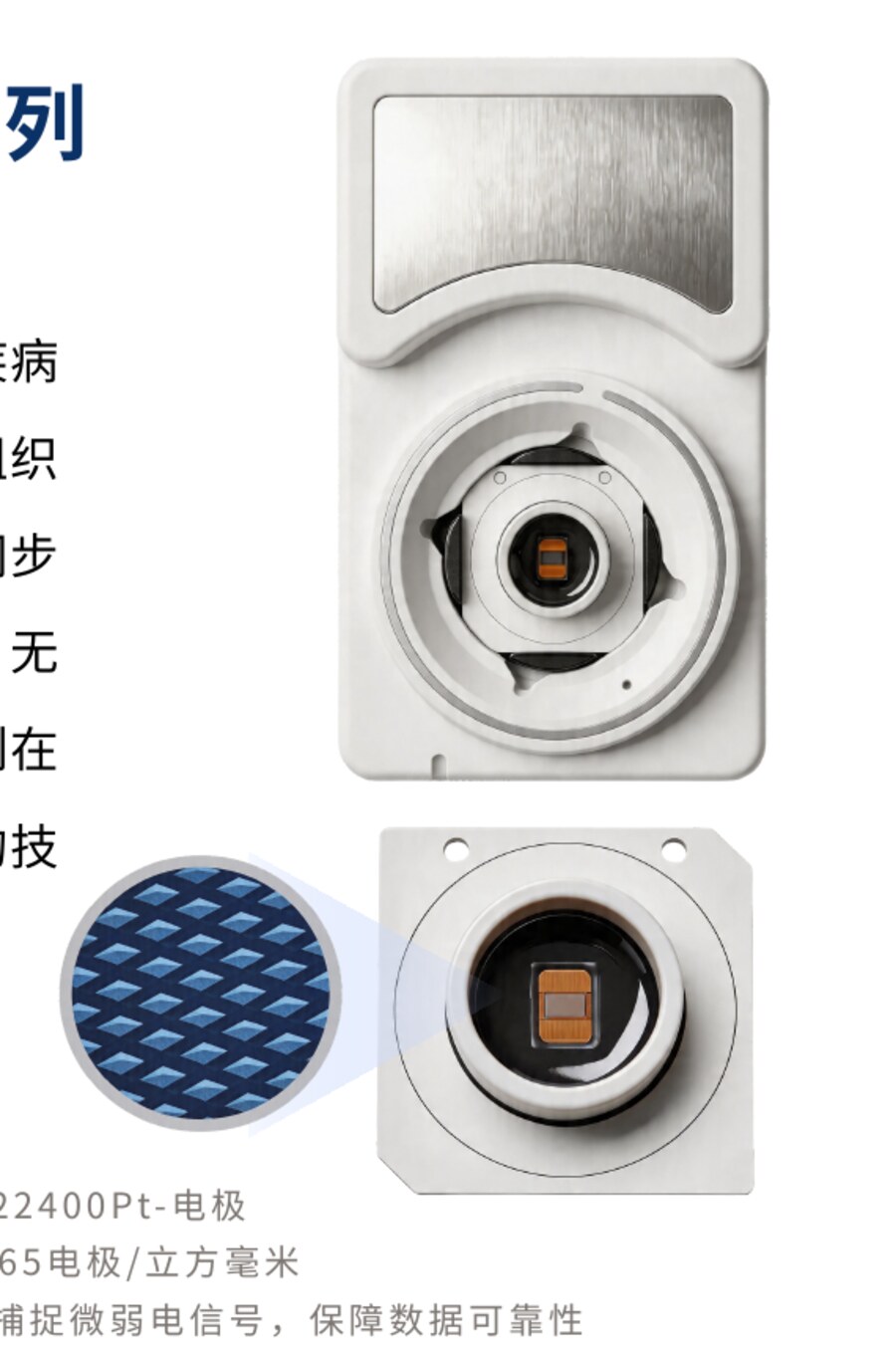 HD-MEAs 高密度微电极阵列