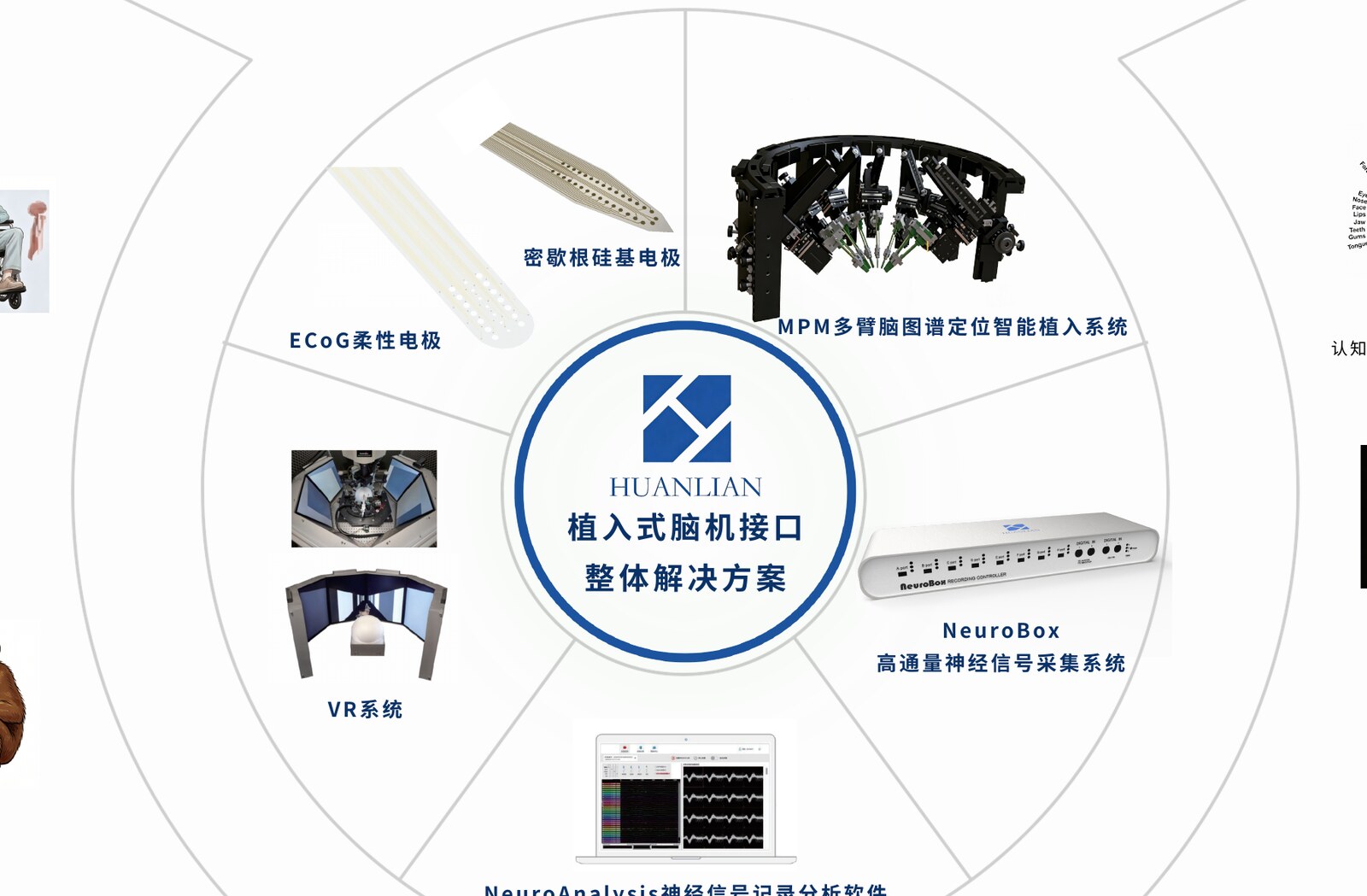 植入式脑机接口整体解决方案产品矩阵